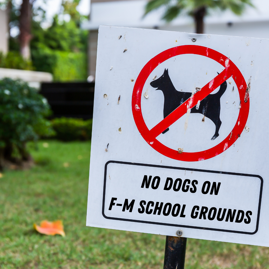 Reminder Dogs Are Not Allowed On School Grounds Fayetteville Manlius 