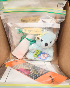 Zliploc bags filled with papers, pictures and a teddy bear, inside of a cardboard box